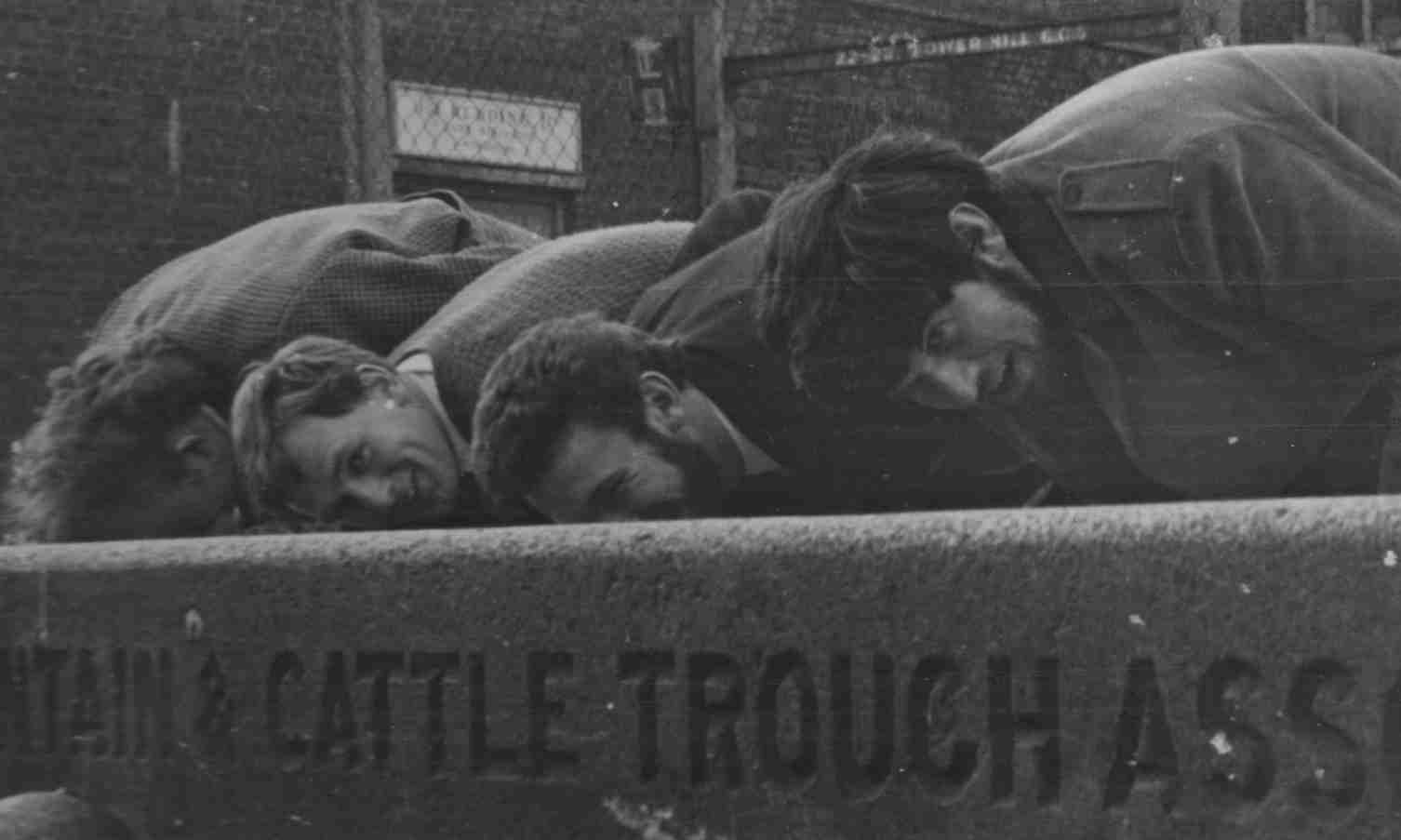 Tone Mole,Tim Saunders, Alan (Ern) Broadbent,  Mart Larner at the trough